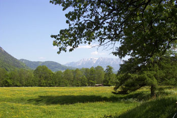 Aussicht_wilder Kaiser